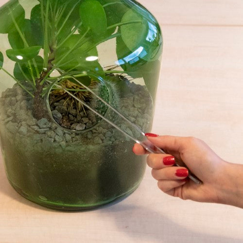 Terrarium Tweezers - 26cm (Set of 3)