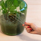 Terrarium Tweezers - 26cm (Set of 3)