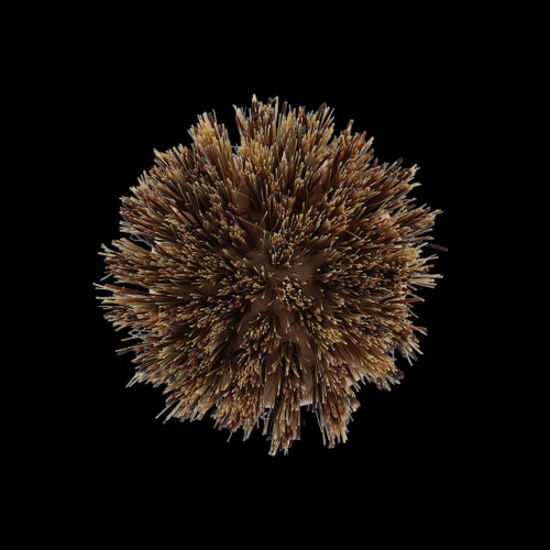 Pot Brush