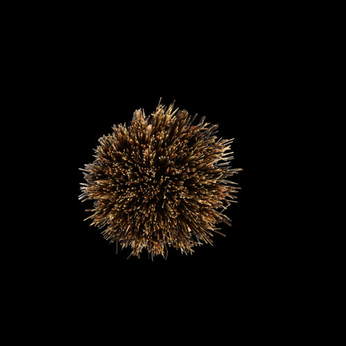 Pot Brush
