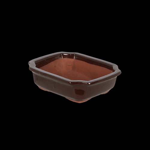 Bonsai Pot - Rectangular Small 20 x 15 x 6cm (Set of 4)