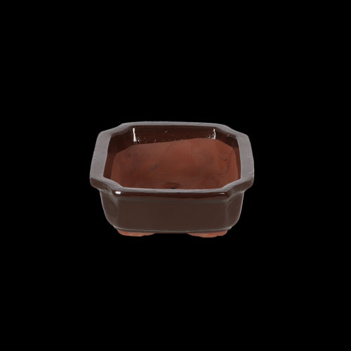 Bonsai Pot - Rectangular Small 20 x 15 x 6cm (Set of 4)