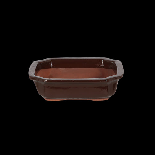 Bonsai Pot - Rectangular Small 20 x 15 x 6cm (Set of 4)