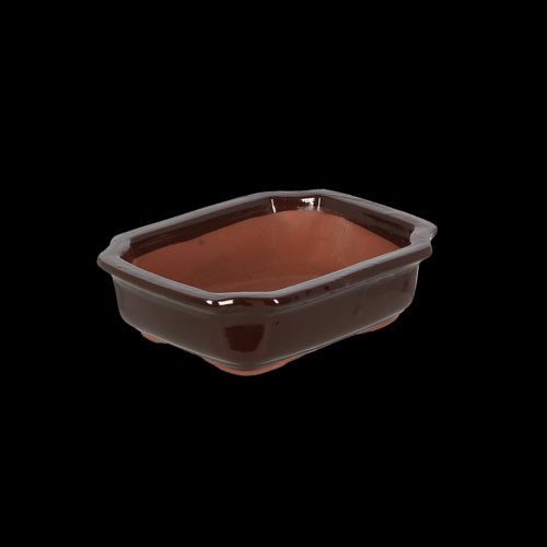 Bonsai Pot - Rectangular Small 20 x 15 x 6cm (Set of 4)