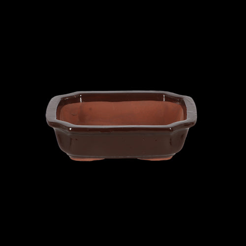 Bonsai Pot - Rectangular Small 20 x 15 x 6cm (Set of 4)