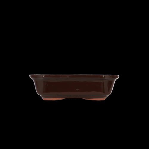 Bonsai Pot - Rectangular Small 20 x 15 x 6cm (Set of 4)