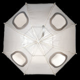 Umbrella - Kids Peek a Boo (Set of 4 Assorted)