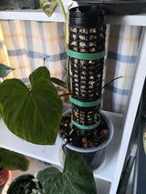 Gardening - 170mm x 60mm White Moss Tube  Black