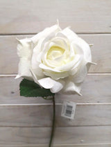 Rose  - Velvet Rose Stem  Dark Burgundy