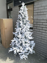 Christmas Tree - 6.5 Mixed Pine Snowy Tree