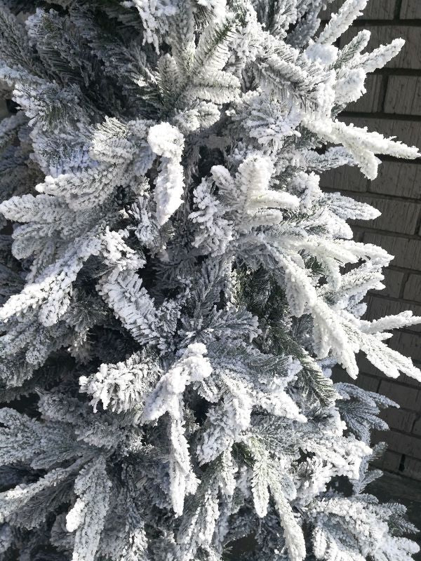 Christmas Tree - 6.5 Mixed Pine Snowy Tree