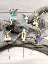Fairy Pick (Set Of 6)