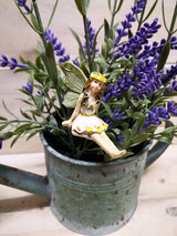 Fairy Pick (Set Of 6)