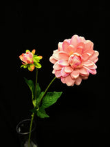 Dahlia  - Small Dahlia W/Bud  Mauve Pink