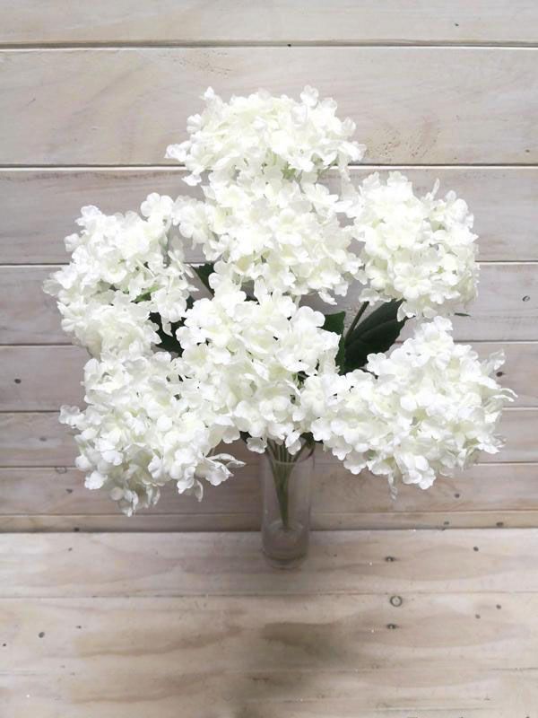 Hydrangea - White Hydrangea Bush