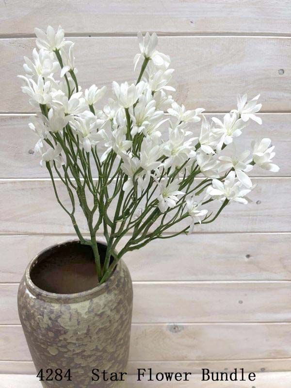 Star Flower - Star Flower Bundle