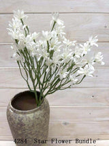 Star Flower - Star Flower Bundle
