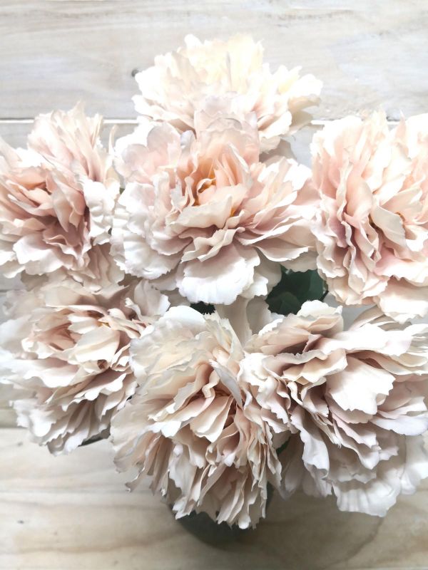 Peony - Large Pale Pink Peony Bush