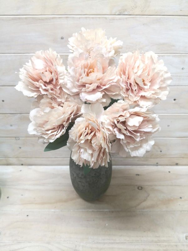 Peony - Large Pale Pink Peony Bush