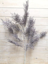 Grass - Rime Grass Spray  Grey