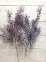 Grass - Rime Grass Spray  Grey