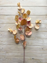 Eucalyptus  - Round Eucalyptus Spray  Vintage Green