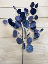 Eucalyptus  - Round Eucalyptus Spray  Vintage Green