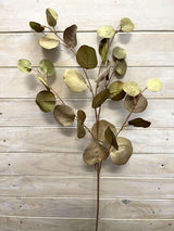 Eucalyptus  - Round Eucalyptus Spray  Vintage Green