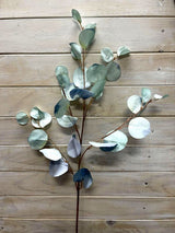 Eucalyptus  - Round Eucalyptus Spray  Vintage Green