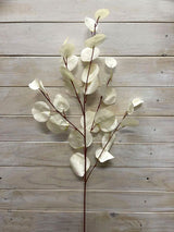 Eucalyptus  - Round Eucalyptus Spray  Vintage Green