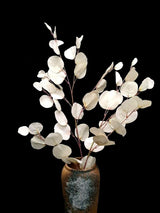 Eucalyptus  - Round Eucalyptus Spray  Vintage Green