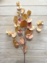 Eucalyptus  - Round Eucalyptus Spray  Vintage Green