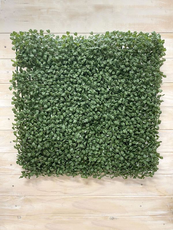 Mat - 50 x 50cmUv Protected Boxwood Mat