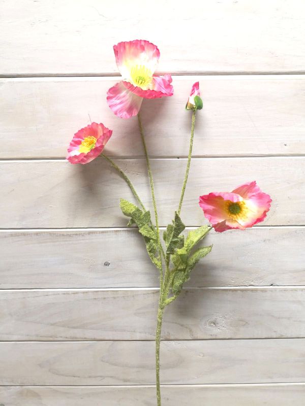 Poppy - Pink Poppy Spray