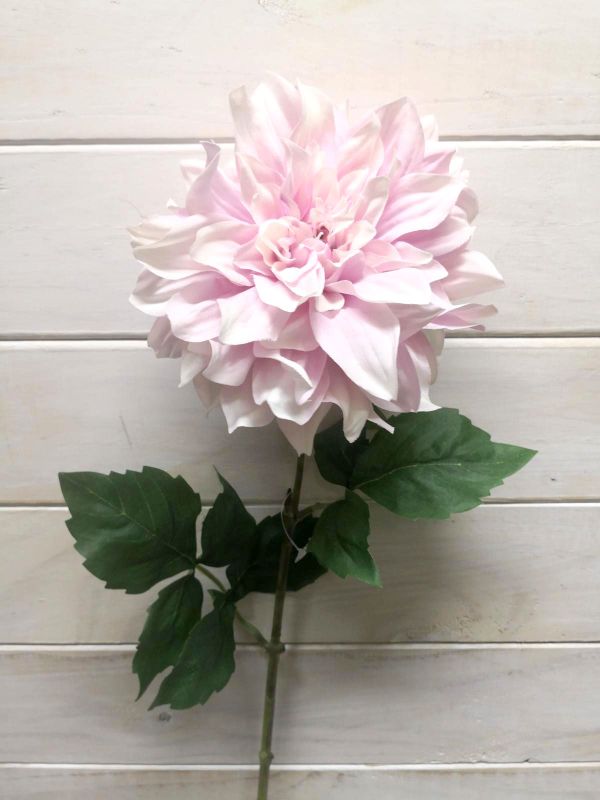 Dahlia - Shiloh Noelle Dahlia Stem  Pink