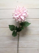 Dahlia - Shiloh Noelle Dahlia Stem  Pink