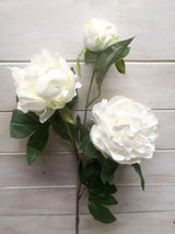Peony - White Peony Spray with 2 Flrs & Bud