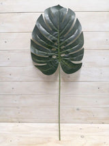 Leaf  - 30*28cmMonstera Leaf