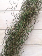 Twig - 125cmBrown Twig Bundle with Moss