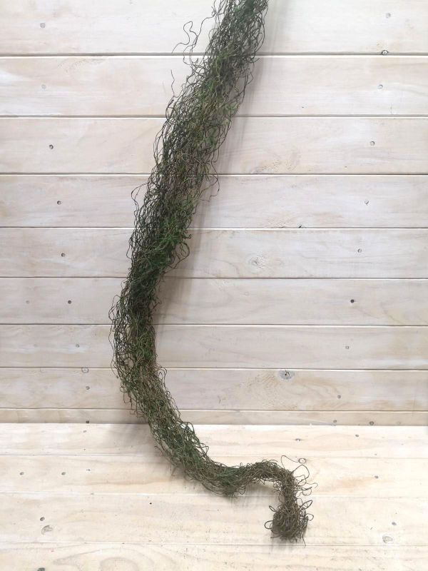 Twig - 125cmBrown Twig Bundle with Moss