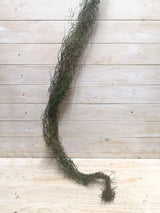 Twig - 125cmBrown Twig Bundle with Moss