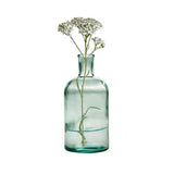 GREEN HOUSE MEDIUM BOTTLE VASE -  T&G