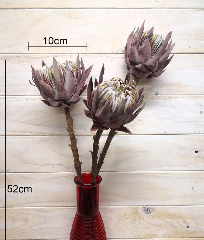 Artificial Queen Protea - Dry Look (Medium)