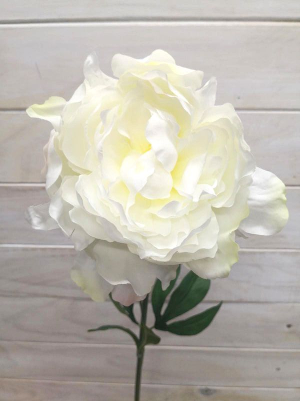 Artificial Single Peony Stem (Cream)