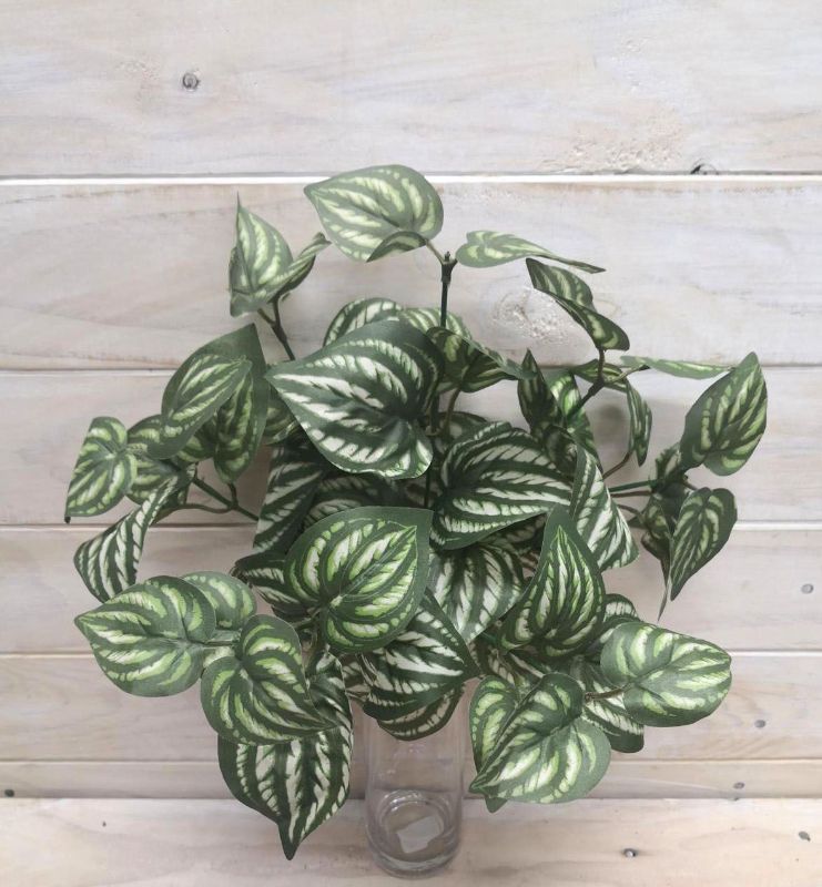 Artificial Watermelon Peperomia Bush
