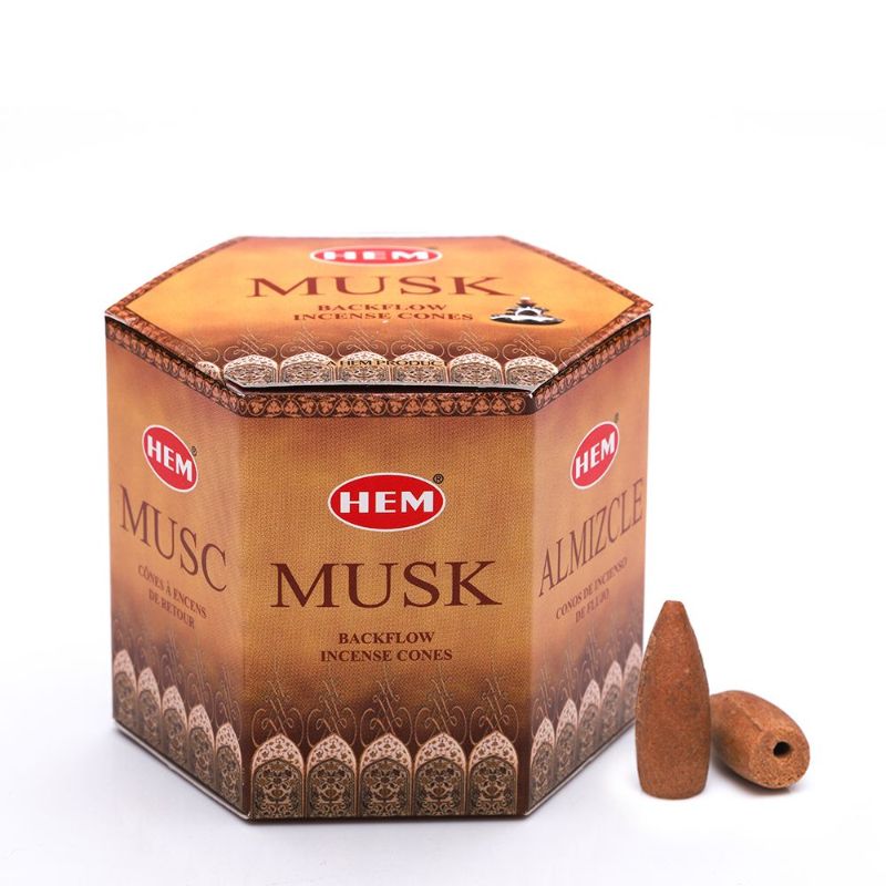 Backflow Cones - Musk (12 Packs)