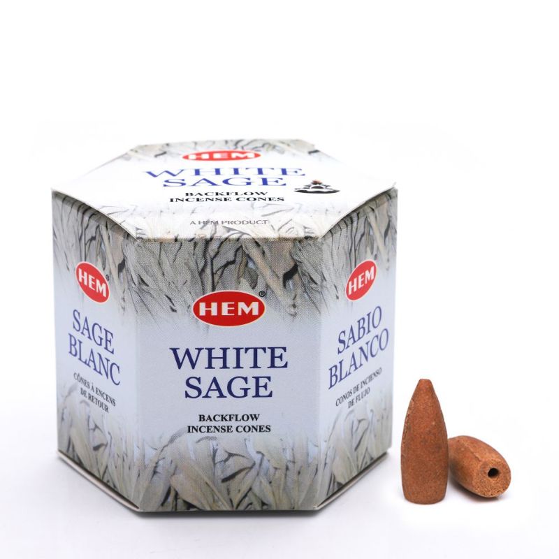 Backflow Cones - White Sage (12 Packs)
