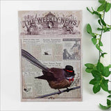 Kiwiana Wall Art - Rectangle Large: Vintage Fantail - Printed Circle | Rectangle