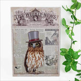 Kiwiana Wall Art - Rectangle Large: Vintage Ruru Morepork