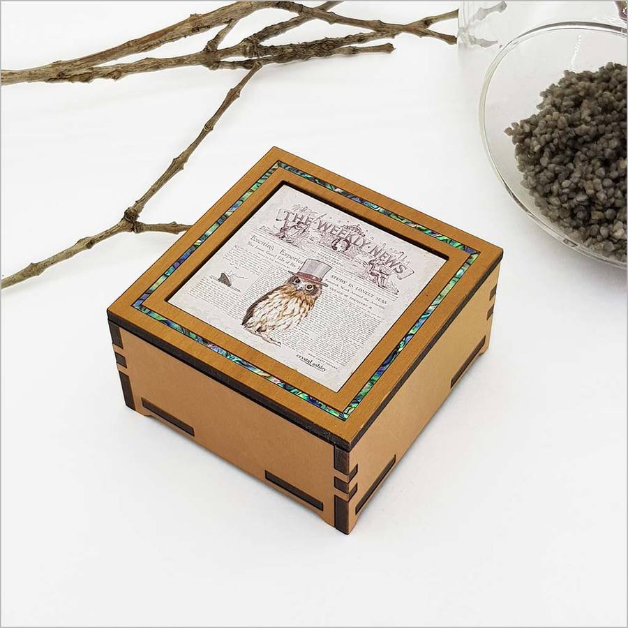 Small Trinket Box: Vintage Morepork